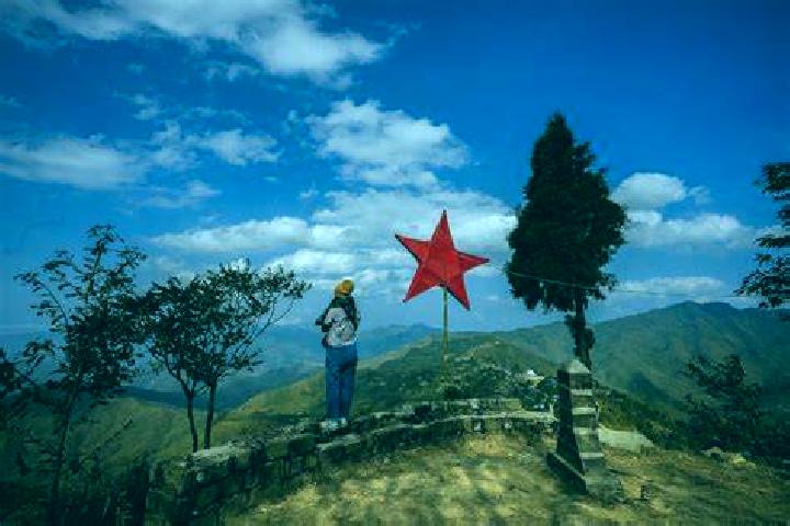 Dolphins Dream online slot