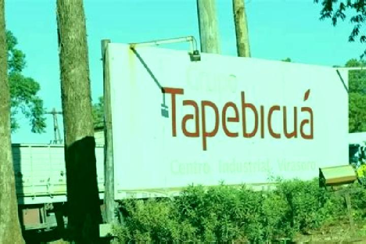 Dragon Dynasty (Triple Profits Games) slot machine