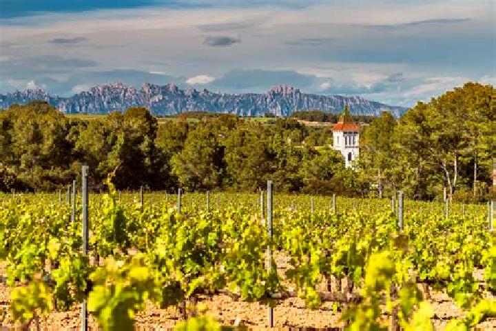Dragon Knight slot game