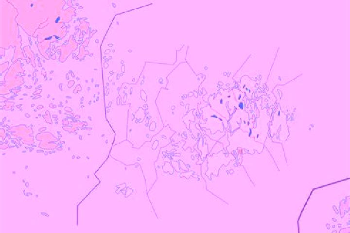 Fruitocado slot game