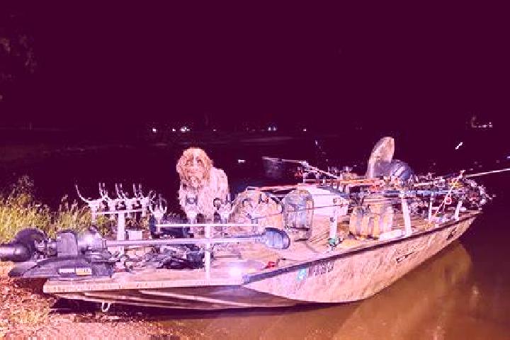 Go Craps online slot