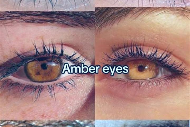 Kung Fu Cash slot machine