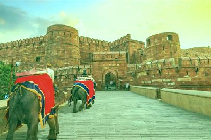 Magic Paper slot