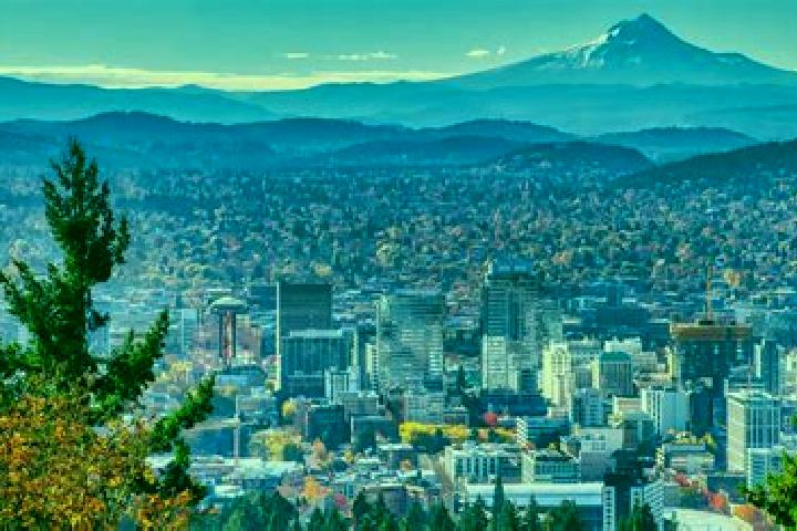 Majestic Crown 20 Xmas slot game
