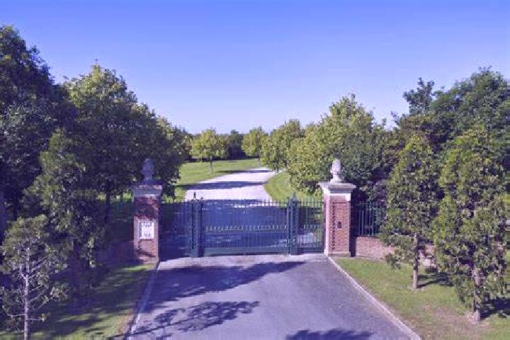 Mustang Money Energized slot machine