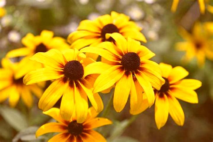 Power Of Poseidon online slot