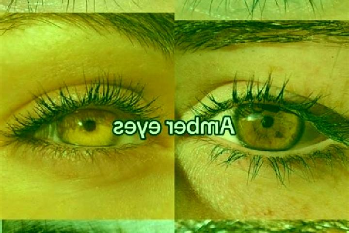 Royal Xmass Dice: Play slot machine