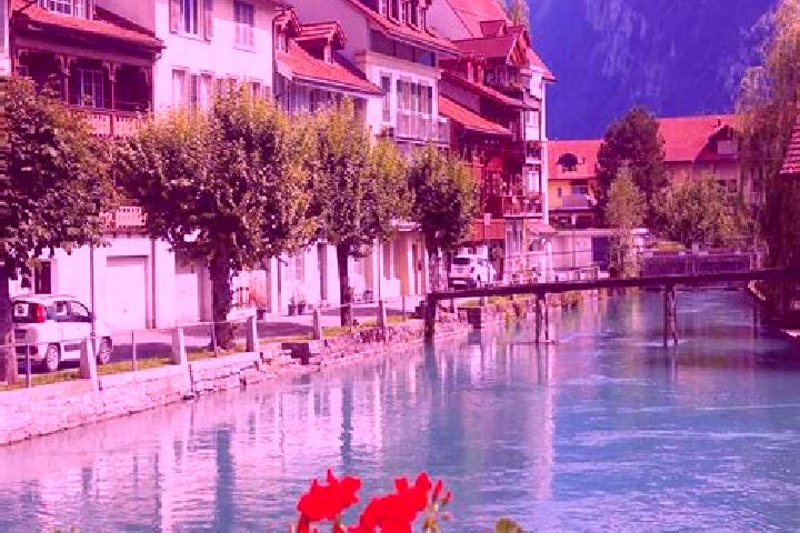 Samurai 888 Spin Sakura slot game