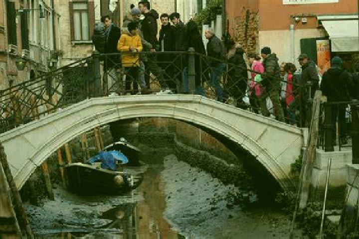 Section VIII: Rise of the Damned slot