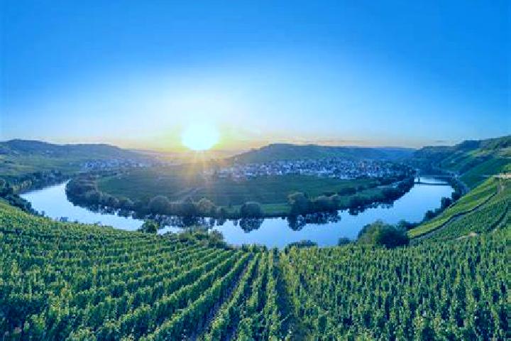 Super Card Blackjack slot machine