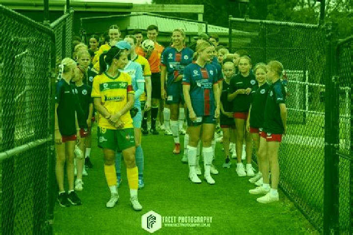 Toon Pilot slot machine