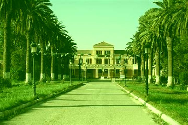 Vegan Nightmare slot game