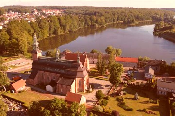 Wild Dealer slot machine
