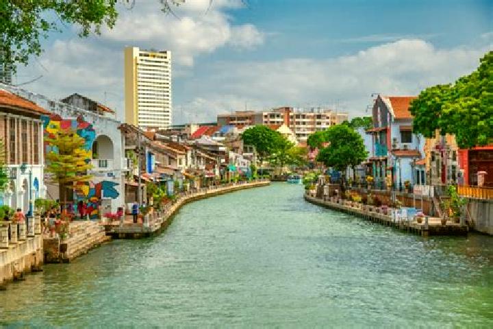 Wild Panda (Royal Slot Gaming) slot game
